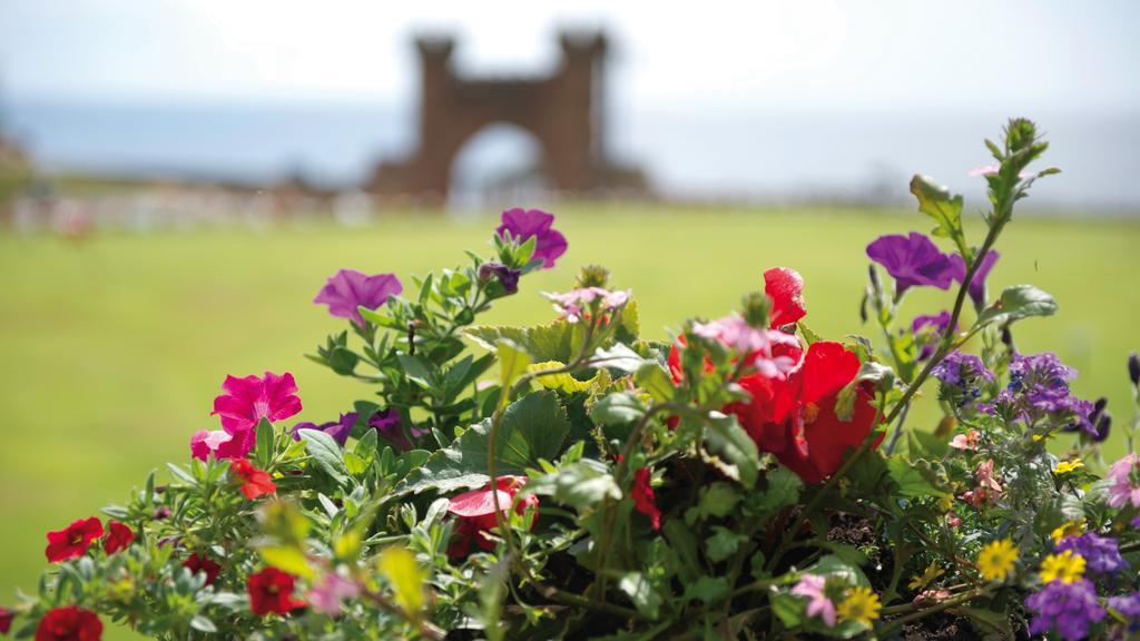 The Belmont Hotel - Adults Only Sidmouth Εξωτερικό φωτογραφία